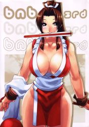 Rule 34 | 1girl, blush, breasts, brown eyes, brown hair, cleavage, folded fan, cover, cover page, hand fan, fatal fury, folding fan, large breasts, loincloth, long hair, mouth hold, nek, pelvic curtain, ponytail, rope, scan, shiranui mai, snk, solo, the king of fighters
