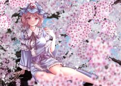 Rule 34 | 1girl, blue background, blue dress, blue hat, blue kimono, cherry blossoms, cup, dress, frilled kimono, frills, hat, holding, holding cup, japanese clothes, kimono, kyabekko, looking at viewer, mob cap, pink eyes, pink hair, saigyouji yuyuko, smile, solo, touhou, triangular headpiece, wide sleeves