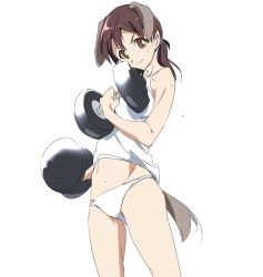 Rule 34 | 1girl, animal ears, brown eyes, brown hair, dog ears, dog tail, dumbbell, exercising, gertrud barkhorn, midriff, panties, ponytail, smile, strike witches, sweat, tail, tank top, umanosuke, underwear, underwear only, weightlifting, weights, world witches series