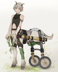 Rule 34 | 1boy, animal ears, arm tattoo, artist name, bandaged arm, bandaged leg, bandages, bare shoulders, centauroid, center opening, commentary request, dated, flower wreath, full body, goat ears, goat horns, grass, hair between eyes, holding, hooves, horizontal pupils, horns, injury, isaaki, looking at viewer, male focus, monster boy, multiple legs, navel, original, parted lips, shadow, short hair, silver hair, simple background, smile, solo, standing, stomach, tattoo, taur, toned, toned male, wheelchair, white background, yellow eyes