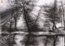 Rule 34 | charcoal (medium), lake, monochrome, no humans, photo-referenced, scenery, traditional media, tree, water, yuanchosaan