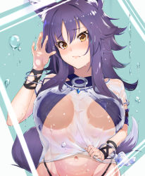Rule 34 | 1girl, against glass, animal ears, breast press, breasts, breasts on glass, hair between eyes, highres, large breasts, makoto (princess connect!), makoto (summer) (princess connect!), princess connect!, purple eyes, see-through, see-through shirt, shimon (31426784), solo, swimsuit, tail, upper body, water, wolf ears, wolf girl, wolf tail, yellow eyes