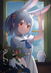 Rule 34 | 1girl, absurdres, ame., animal ear fluff, animal ears, arm up, blue hair, blue ribbon, blue sky, blush, bottle, carrot hair ornament, cloud, commentary request, day, dress, food-themed hair ornament, hair ornament, hair ribbon, hand on own ear, highres, hololive, indoors, looking at viewer, parted lips, puffy short sleeves, puffy sleeves, rabbit-shaped pupils, rabbit ears, red eyes, ribbon, short eyebrows, short sleeves, sky, solo, stuffed animal, stuffed rabbit, stuffed toy, symbol-shaped pupils, thick eyebrows, two side up, usada pekora, usada pekora (casual), virtual youtuber, white dress, window