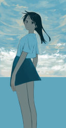 Rule 34 | 1girl, absurdres, arms at sides, black hair, blue skirt, blue theme, brown eyes, closed mouth, cloud, commentary request, highres, horizon, long hair, looking at viewer, ocean, original, shirt, short sleeves, skirt, solo, standing, turquoise iro, white shirt