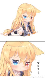 Rule 34 | 1girl, 2koma, animal ears, arm support, babydoll, bad id, bad pixiv id, black footwear, black gloves, blonde hair, blue eyes, blue flower, blue rose, blush, cat ears, chibi, closed mouth, comic, commentary request, elbow gloves, flower, foreign blue, g41 (girls&#039; frontline), girls&#039; frontline, gloves, hair between eyes, hair ornament, heterochromia, highres, korean text, long hair, pleated skirt, red eyes, rose, sitting, skirt, thighhighs, translation request, very long hair, watermark, web address, white babydoll, white background, white skirt, white thighhighs