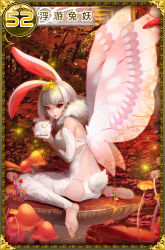 Rule 34 | 1girl, animal ears, autumn, autumn leaves, barefoot, butterfly wings, dsqk03, highres, insect wings, lips, mushroom, original, rabbit, rabbit ears, rabbit tail, red eyes, short hair, sitting, soles, solo, tail, toeless legwear, toes, white hair, wings