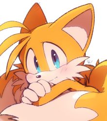Rule 34 | 1boy, blue eyes, blush, body fur, commentary request, fox boy, fox tail, furry, furry male, gloves, looking at viewer, male focus, misuta710, multiple tails, simple background, solo, sonic (series), tail, tails (sonic), two tails, white background, white gloves