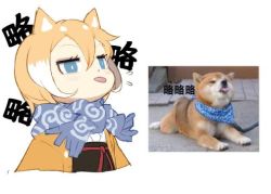 Rule 34 | 1girl, :p, animal, animal ears, blonde hair, blue eyes, chinese text, dog, dog ears, hair between eyes, jong tu, multicolored hair, original, photo-referenced, photo inset, reference inset, reference photo, scarf, shiba inu, short hair, simple background, solo, tongue, tongue out, translation request, two-tone hair, upper body, white background, white hair