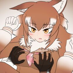 1girl 1other animal_ear_fluff animal_ears animated animated_gif blush breasts brown_hair brown_sailor_collar brown_shirt commentary_request empty_eyes fang fur_collar gloves grabbing_another&#039;s_breast gradient_clothes gradient_shirt groping hair_between_eyes japanese_wolf_(kemono_friends) kemono_friends large_breasts long_hair long_sleeves looping_animation mo23 multicolored_hair neckerchief open_mouth pink_neckerchief plaid_clothes plaid_neckerchief sailor_collar shirt simple_background solo_focus tail two-tone_hair unmoving_pattern upper_body white_background white_gloves white_hair white_shirt wolf_ears wolf_girl wolf_tail