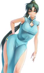 Rule 34 | 1girl, :3, adapted costume, aqua eyes, bad id, bad pixiv id, blush, breasts, china dress, chinese clothes, cleavage, cleavage cutout, clothing cutout, contrapposto, curvy, dress, earrings, fire emblem, fire emblem: the blazing blade, green hair, hair tie, hairband, hand on own hip, hip focus, jewelry, large breasts, long hair, lyn (fire emblem), nintendo, ponytail, sajittari, side slit, simple background, solo, standing, very long hair, white background