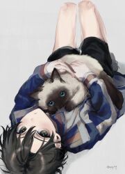 Rule 34 | 1boy, animal, animal on stomach, artist name, black footwear, black hair, black shorts, blue jacket, brown eyes, cat, character request, child, closed mouth, commentary request, full body, grey background, highres, holding, holding animal, holding cat, jacket, jiz (pffbq), knees up, looking at viewer, lying, male focus, on back, short hair, shorts, siamese cat, simple background, solo, tennis no ouji-sama, twitter username