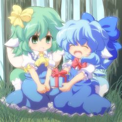 Rule 34 | 2girls, animal ears, ascot, blue dress, blue hair, bow, box, chibi, cirno, daiyousei, dog ears, dog tail, dress, closed eyes, forest, gift, gift box, green eyes, green hair, hair bow, holding, holding gift, kemonomimi mode, multiple girls, nature, nullpooo, open mouth, short hair, sitting, smile, tail, touhou, v arms