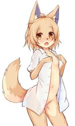 Rule 34 | 1girl, ahoge, animal ear fluff, animal ears, blush, bottomless, collarbone, commentary request, contrapposto, eyes visible through hair, flat chest, fox ears, fox girl, fox tail, furry, furry female, groin, kida kuro mu, leonor (kida kuro mu), looking at viewer, naked shirt, navel, open clothes, open mouth, open shirt, original, see-through silhouette, shirt, short hair, simple background, solo, tail, white background, white shirt, yellow eyes
