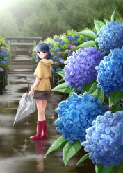 Rule 34 | 1girl, black skirt, boots, closed umbrella, day, domestic na kanojo, fence, flower, frilled skirt, frills, from behind, hydrangea, looking at viewer, looking back, outdoors, rain, raincoat, red footwear, rubber boots, sasuga kei, skirt, solo, tachibana rui, torii, umbrella, wet