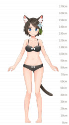 Rule 34 | 1girl, aina (mao lian), animal ear fluff, animal ears, arms at sides, bare arms, bare legs, bare shoulders, barefoot, blue eyes, bow, bow bra, bow panties, bra, breasts, brown bra, brown hair, brown panties, cat ears, cat tail, closed mouth, full body, height chart, highres, looking at viewer, mao lian (nekokao), medium breasts, navel, original, panties, pigeon-toed, short hair, smile, solo, standing, tail, underwear, underwear only, white bow