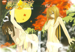 Rule 34 | 00s, 2girls, autumn, bent over, blonde hair, breast hold, breasts, brown eyes, brown hair, covering privates, covering breasts, kimura tahiko, leaf, long hair, maple leaf, moon, multiple girls, night, nude, nude cover, onsen, outdoors, ponytail, seto no hanayome, seto sun, shiranui akeno, towel, wet