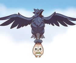 Rule 34 | animal focus, bird, black eyes, blue sky, cloud, cloudy sky, corviknight, creature, creatures (company), day, expressionless, flying, full body, game freak, gen 7 pokemon, gen 8 pokemon, holding, holding pokemon, looking at viewer, nintendo, no humans, outdoors, pokemon, pokemon (creature), rowlet, sky, ssalbulre