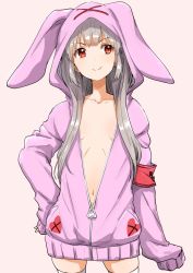 Rule 34 | 1girl, alternate costume, animal hood, armband, blunt bangs, blush, breasts, clearite, collarbone, cowboy shot, fang, fang out, hand on own hip, hood, hood up, hoodie, long hair, long sleeves, looking to the side, natori sana, navel, open hood, pink background, pink hoodie, rabbit hood, red eyes, sana channel, silver hair, simple background, sleeves past wrists, small breasts, smile, solo, standing, thighhighs, v-shaped eyebrows, virtual youtuber, white thighhighs, zipper pull tab