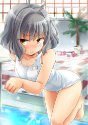 Rule 34 | 1girl, ahoge, bad id, bad pixiv id, barefoot, blush, breasts, checkered floor, collarbone, flower pot, girlfriend (kari), glint, grey hair, indoors, looking at viewer, name tag, natsume mahiro, one-piece swimsuit, plant, pool, poolside, potted plant, school swimsuit, short hair, solo, swimsuit, wading, water, wet, white school swimsuit, white one-piece swimsuit, yellow eyes