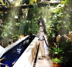 Rule 34 | 1girl, animal ears, bad id, bad pixiv id, bare legs, black shorts, branch, cat ears, cat tail, dated, day, eyewear on head, holding, koi, long hair, looking at viewer, original, outdoors, plant, potted plant, sandals, shirt, short shorts, short sleeves, shorts, signature, solo, standing, tail, tree, vines, watering can, white shirt, yellow eyes, yua (tick-tack)