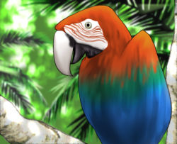 Rule 34 | animal focus, bird, jungle, lowres, macaw, nature, no humans, original, palm tree, parrot, red-and-green macaw, shingyouji tatsuya, tree
