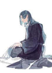 Rule 34 | 1boy, blue hair, from side, full body, gihuta hiroshi, hair behind ear, highres, lanxi zhen, long hair, long sleeves, profile, simple background, sitting, smile, solo, luo xiaohei zhanji, very long hair, white background, wide sleeves, wuxian (the legend of luoxiaohei)