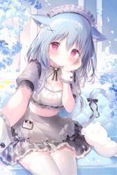 Rule 34 | 1girl, animal, animal ear fluff, animal ears, apron, bear, black bow, blue flower, blue hair, blush, bow, breasts, cat cutout, cat ears, cat girl, cat tail, cleavage, cleavage cutout, closed mouth, clothing cutout, collarbone, commentary request, flower, frilled apron, frills, grey apron, grey skirt, hair between eyes, hair ornament, looking at viewer, medium breasts, original, plaid, plaid skirt, pleated skirt, puffy short sleeves, puffy sleeves, purple eyes, reaching, reaching towards viewer, shiratama (shiratamaco), short sleeves, skirt, smile, solo, tail, tail bow, tail ornament, thighhighs, waist apron, white thighhighs, wrist cuffs, x hair ornament