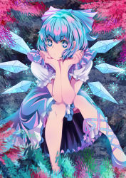 Rule 34 | 1girl, absurdres, blue bow, blue dress, blue eyes, blue footwear, blue hair, blue ribbon, bow, cirno, closed mouth, dress, dress shirt, frilled skirt, frilled sleeves, frills, grass, hair bow, hair ornament, hair ribbon, hands on own chin, hands up, head rest, high heels, highres, ice, ice wings, kinosuke (pixiv11213139), leg ribbon, looking at viewer, matching hair/eyes, pine tree, plant, puffy short sleeves, puffy sleeves, ribbon, shirt, shoes, short eyebrows, short hair, short sleeves, sitting, skirt, snowflakes, solo, spread legs, symbol-shaped pupils, touhou, tree, wings