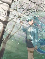 Rule 34 | 1girl, animal ears, black skirt, blue eyes, blue hair, blue jacket, blue sweater, blush, casual, cherry blossoms, cowboy shot, dragon ears, dragon girl, dragon tail, extra ears, imnim leef, jacket, jewelry, kemono friends, kemono friends 3, long hair, long sleeves, necklace, official alternate costume, open clothes, open jacket, seiryuu (kemono friends), skirt, solo, sweater, tail, thigh strap, turtleneck, turtleneck sweater, twintails