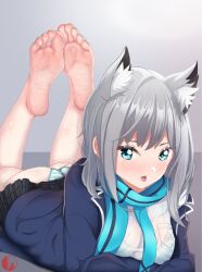 Rule 34 | 1girl, animal ears, ass, barefoot, blue archive, blue eyes, feet, grey hair, highres, light blush, looking at viewer, lying, medium hair, on stomach, panties, parted lips, shiroko (blue archive), soles, striped clothes, striped panties, the pose, toes, underwear