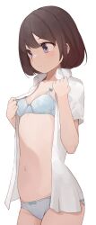 Rule 34 | 1girl, blue bra, blue panties, blush, bob cut, bow, bow bra, bow panties, bra, breasts, brown hair, commentary, expressionless, hands up, highres, hiroki (yyqw7151), looking away, navel, open clothes, open shirt, original, panties, purple eyes, shirt, short sleeves, small breasts, solo, stomach, underwear, undressing, upper body, white background, white shirt