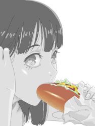 Rule 34 | 1girl, adjusting hair, bad drawr id, bad id, character request, copyright request, eating, food, francine (daijaemon), holding, holding food, hot dog, lettuce, looking at viewer, oekaki, portrait, sandwich, sexually suggestive, simple background, solo, spot color, tomato, tucking hair, white background