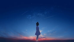 Rule 34 | 1girl, absurdres, arms at sides, black hair, cloud, dress, facing away, feet out of frame, from side, furi0831, hair bun, highres, horizon, landscape, legs apart, night, night sky, no pants, off-shoulder dress, off shoulder, original, scenery, short hair, short sleeves, sidelocks, sky, solo, star (sky), starry sky, sunset, white dress