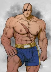 Rule 34 | 1boy, abs, bald, bara, biceps, broad shoulders, closed mouth, eyepatch, hand on own knee, highres, hydaria, large pectorals, looking at viewer, male focus, manly, mature male, muscular, muscular male, nipples, pectorals, sagat, scar, scar on chest, scar on stomach, shorts, solo, street fighter, thick arms, thick thighs, thighs, topless, veins, veiny arms, white eyes