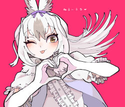 Rule 34 | + +, 1girl, ;3, ;p, absurdres, animal ears, brown eyes, dress, elbow gloves, gloves, heart, heart hands, highres, kanmoku-san, kemono friends, long hair, looking at viewer, one eye closed, pink background, rabbit ears, rabbit girl, ribbon, simple background, snowshoe hare (kemono friends), solo, straight hair, tongue, tongue out, white dress, white hair