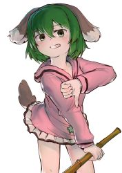Rule 34 | 1girl, absurdres, animal ears, blush, broom, commentary request, dog ears, dog girl, dog tail, dress, feet out of frame, green eyes, green hair, grin, hakonnbo, highres, holding, holding broom, kasodani kyouko, long sleeves, looking at viewer, pink dress, short hair, simple background, smile, solo, tail, thumbs down, touhou, white background