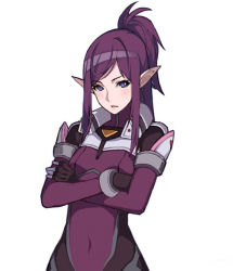 Rule 34 | 10s, 1girl, blue eyes, bodysuit, breasts, closed mouth, covered navel, crossed arms, detexted, kugi ta hori taira, lips, long hair, looking at viewer, macross, macross delta, mirage farina jenius, one side up, pointy ears, purple hair, sidelocks, simple background, small breasts, solo, third-party edit, white background