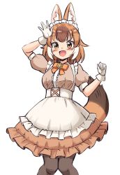 Rule 34 | 1girl, adapted costume, alternate costume, animal ears, blush, bow, bowtie, brown dress, brown pantyhose, brown shirt, commentary request, cowboy shot, dhole (kemono friends), dog ears, dog girl, dog tail, dress, enmaided, gloves, high-waist skirt, highres, kemono friends, light brown hair, looking at viewer, maid, maid headdress, multicolored hair, open mouth, orange bow, orange bowtie, orange eyes, pantyhose, puffy short sleeves, puffy sleeves, shiraha maru, shirt, short sleeves, skirt, smile, solo, tail, two-tone hair, white gloves, white hair