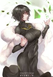 Rule 34 | 1girl, artist name, black dress, black hair, bra visible through clothes, breasts, cape, covered navel, cowboy shot, dress, erotipop, fubuki (one-punch man), fur cape, green eyes, highres, jewelry, large breasts, leaf, lips, long sleeves, looking at viewer, necklace, one-punch man, pantylines, ribbed dress, short hair, solo, telekinesis, turtleneck dress