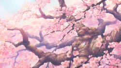 Rule 34 | absurdres, cat, cherry blossoms, day, highres, in tree, lying, on back, original, outdoors, scenery, toufu (inu no mayuge), tree