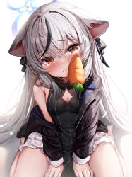 Rule 34 | 1girl, animal ears, black dress, blue archive, brown eyes, carrot, dress, grey hair, halo, highres, kokona (blue archive), kokuto (kurousagi1210), long hair, long sleeves, looking at viewer, simple background, solo, striped clothes, striped dress, thighs, vertical-striped clothes, vertical-striped dress, white background