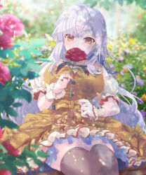Rule 34 | 1girl, assault lily, black thighhighs, blurry, blurry background, blurry foreground, braid, breasts, buttons, cleavage, cleavage cutout, clothing cutout, commentary request, covered mouth, day, depth of field, dress, flower, flower to mouth, frilled dress, frilled sleeves, frills, garden, grey hair, hair ribbon, hands up, highres, holding, holding flower, jewelry, kon kanaho, large breasts, lens flare, light blush, long hair, looking at viewer, naridon, official alternate costume, outdoors, pink flower, puffy short sleeves, puffy sleeves, purple flower, purple ribbon, red flower, red rose, ribbon, ring, rose, short sleeves, side braid, sidelocks, simple background, solo, thighhighs, tree, tree shade, very long hair, wavy hair, wrist cuffs, yellow dress, yellow eyes, yellow flower, zettai ryouiki