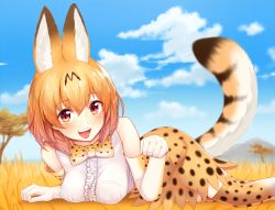 Rule 34 | 10s, 1girl, animal ears, animal print, bad id, bad pixiv id, blonde hair, blue sky, blush, breast pocket, breasts, brown dress, brown gloves, cat ears, cat tail, cloud, cloudy sky, day, dress, elbow gloves, frills, gloves, grass, hair between eyes, kemono friends, looking at viewer, lying, medium breasts, on stomach, open mouth, outdoors, paw pose, pocket, savannah, serval (kemono friends), serval print, serval tail, short dress, sky, smile, solo, sukemyon, tail, teeth, thighhighs, white gloves, yellow eyes