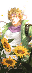 Rule 34 | 1boy, aruolrn, blonde hair, caesar anthonio zeppeli, facial mark, feather hair ornament, feathers, fingerless gloves, flower, gloves, green eyes, green jacket, feather hair ornament, headband, jacket, jojo no kimyou na bouken, male focus, scarf, solo, sunflower