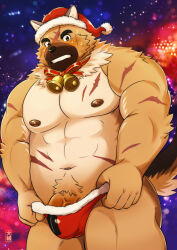 Rule 34 | 1boy, abs, absurdres, animal ears, ass, bad id, bad twitter id, bara, bell, belly, blush, brown fur, bulge, cowboy shot, daisukebear, dog boy, dog ears, fur-trimmed shorts, fur trim, furry, furry male, green eyes, hat, highres, large pectorals, male focus, male pubic hair, muscular, muscular male, navel, neck bell, nipples, official alternate costume, paid reward available, pectorals, penis, penis peek, pubic hair, santa costume, santa hat, scar, scar on face, shorts, solo, stomach, thick eyebrows, thick thighs, thighs, tokyo houkago summoners, topless male, undressing, yasuyori (housamo)