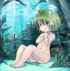 Rule 34 | 1girl, air bubble, barefoot, blush, bob cut, breath, brown eyes, bubble, chidori (wakakusachidori), clutching chest, completely nude, convenient censoring, coral, fish, flat chest, green hair, hands on own neck, holding breath, looking at viewer, nude, seafloor, original, ravine, short hair, sitting, underwater