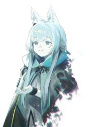 Rule 34 | 1girl, absurdres, animal ear fluff, animal ears, arknights, blanchat, cat ears, cat girl, cloak, closed mouth, earpiece, green eyes, highres, hood, hood down, hooded cloak, infection monitor (arknights), long hair, rosmontis (arknights), silver hair, solo, white background