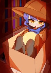 Rule 34 | 1other, androgynous, animal ears, blue hair, blue scarf, book, box, brown hat, brown tunic, cat ears, hat, highres, library, light bulb, niko (oneshot), oneshot (game), open mouth, pbj6541, scarf, slit pupils, tunic