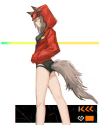 Rule 34 | 1girl, animal ears, arknights, black one-piece swimsuit, breasts, clothing cutout, ears through headwear, feet out of frame, grey hair, hands in pockets, highres, hood, hood up, hooded jacket, jacket, kiiliie, long hair, official alternate costume, one-piece swimsuit, open clothes, open jacket, projekt red (arknights), projekt red (light breeze) (arknights), red jacket, simple background, small breasts, solo, swimsuit, tail, tail through clothes, white background, wolf ears, wolf girl, wolf tail, yellow eyes