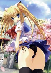 Rule 34 | absurdres, angel navigate, ass, bent over, black thighhighs, blonde hair, blue eyes, cherry blossoms, fang, highres, inuzumi masaki, leaning forward, long hair, morino hinako, non-web source, panties, school uniform, side-tie panties, solo, thighhighs, tree, underwear, wind, wind lift
